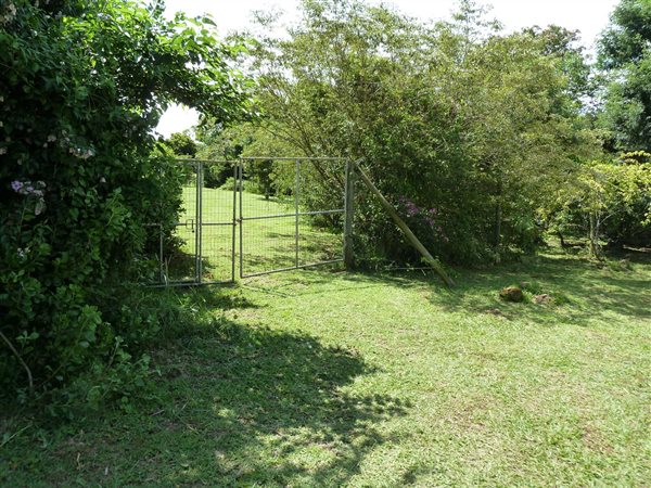 1804 m² Land available in Forest Hills