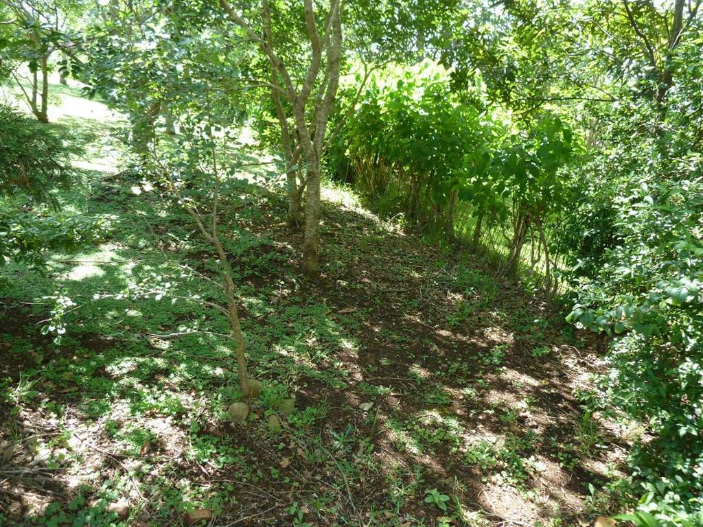 1804 m² Land available in Forest Hills photo number 8