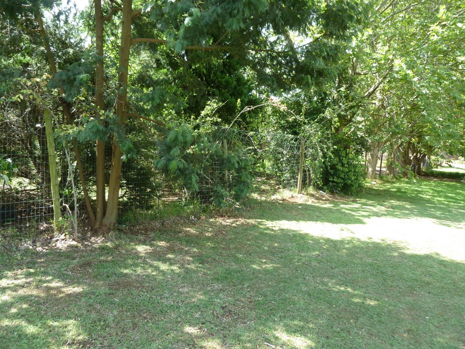 1804 m² Land available in Forest Hills photo number 7