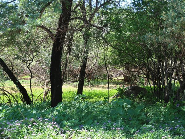 2995 m² Land available in Parys