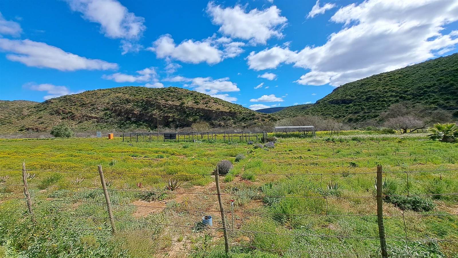 24 ha Farm in Oudtshoorn photo number 29