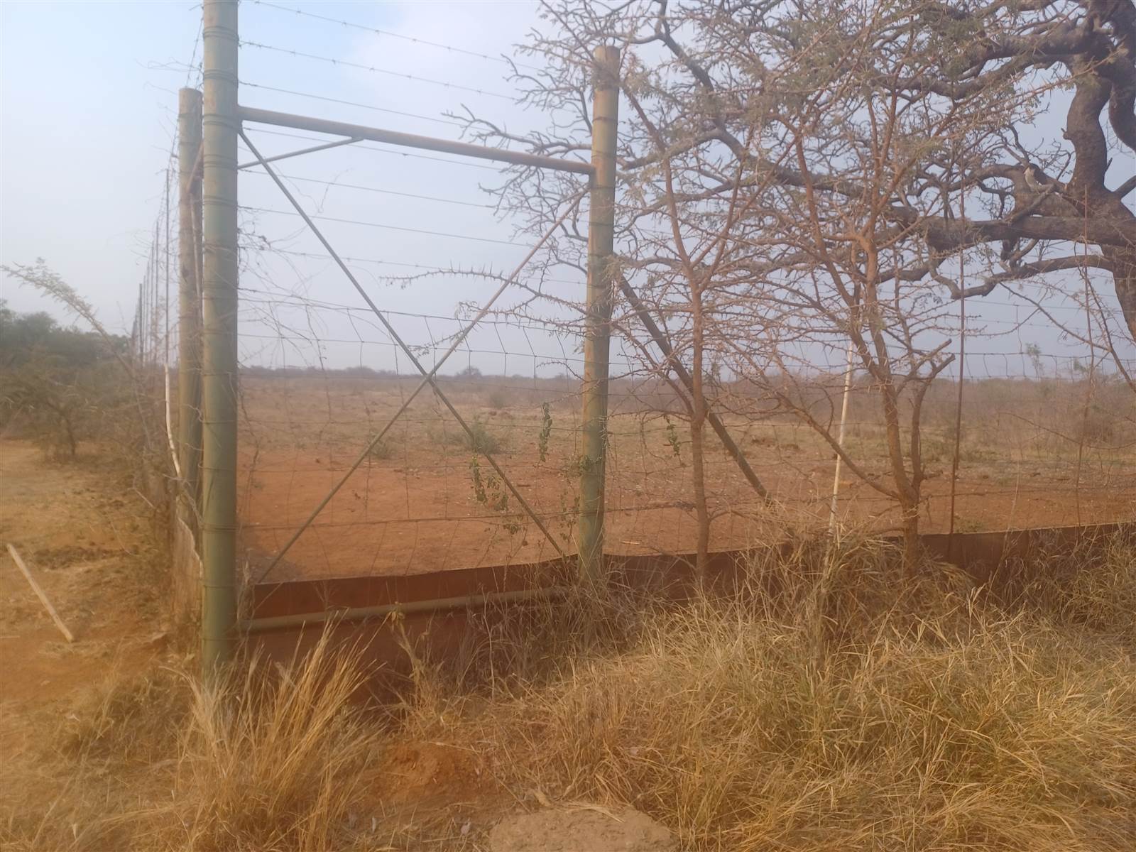 6 ha Land available in Mookgophong (Naboomspruit) photo number 8