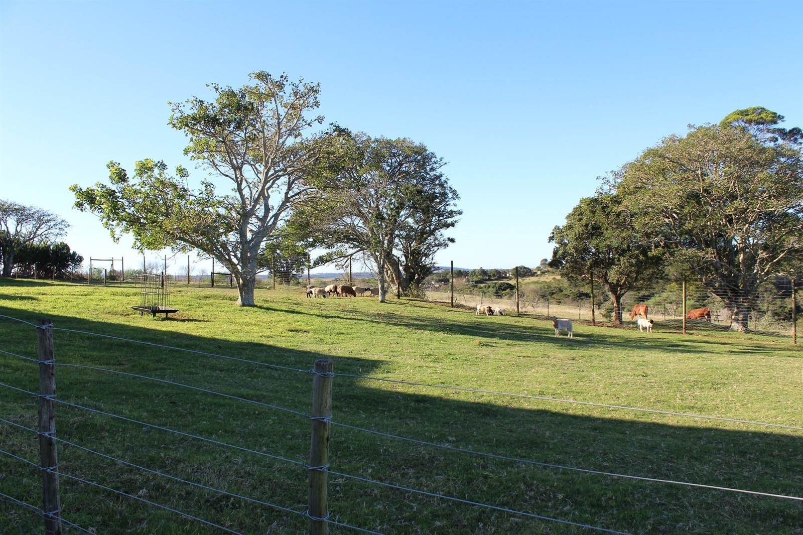 48.1 ha Farm in Bathurst and Surrounds photo number 18