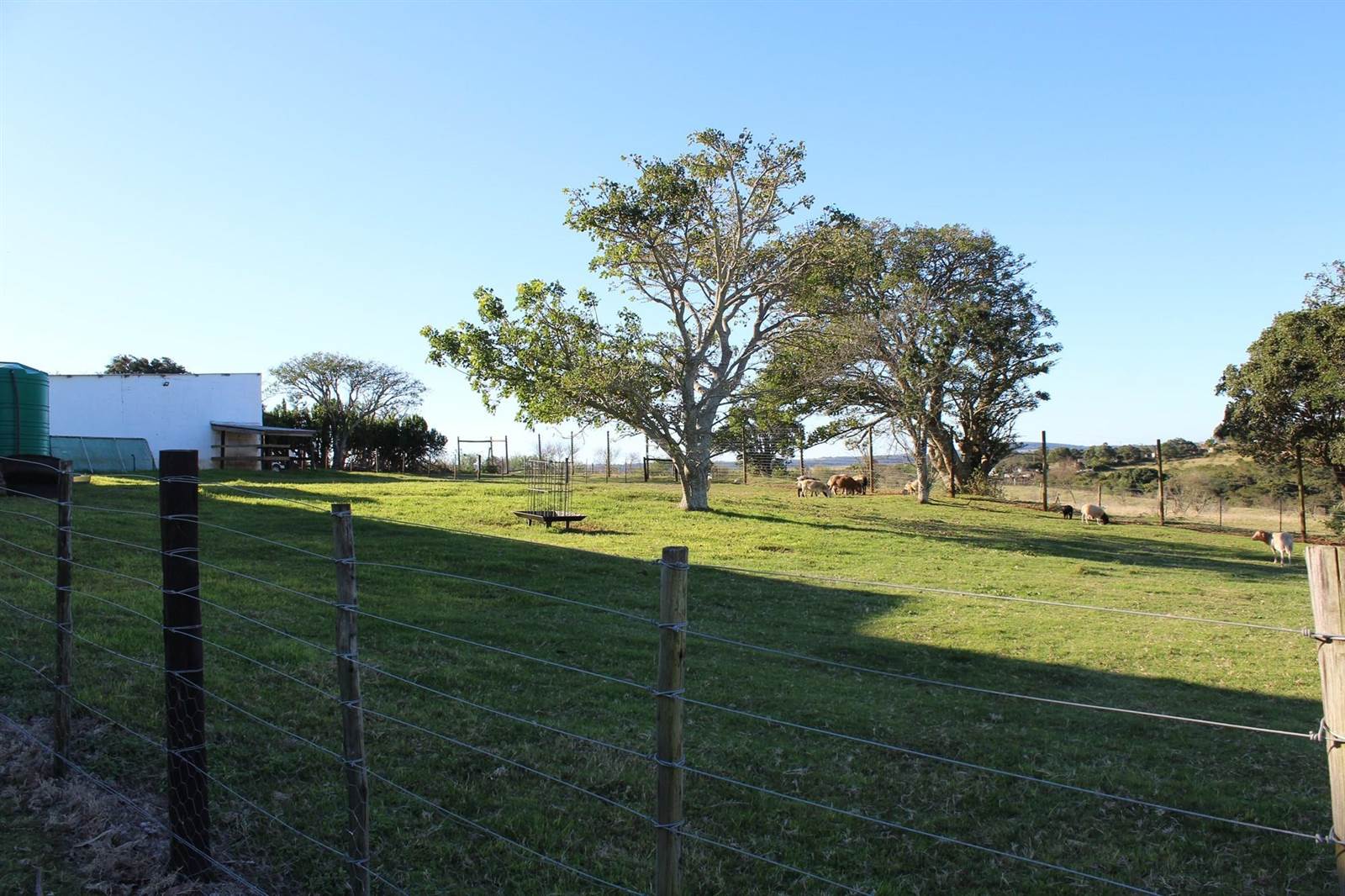 48.1 ha Farm in Bathurst and Surrounds photo number 17