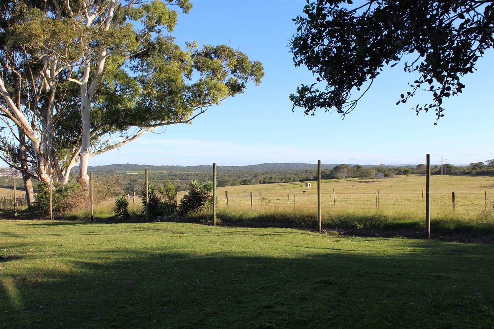 48.1 ha Farm in Bathurst and Surrounds photo number 21