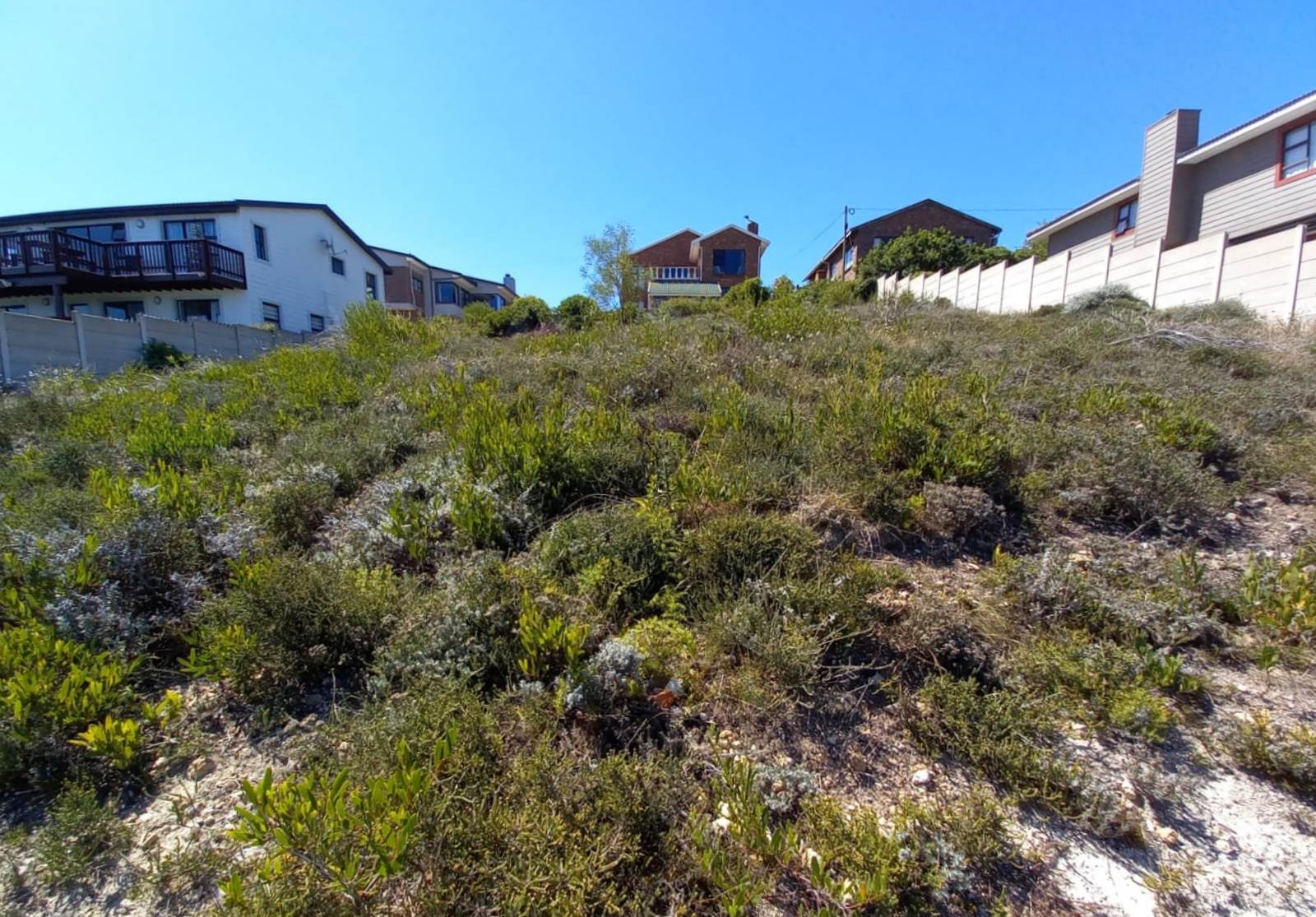 920 m² Land available in Dana Bay photo number 10