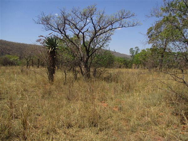 2988 m² Land available in Kranspoort