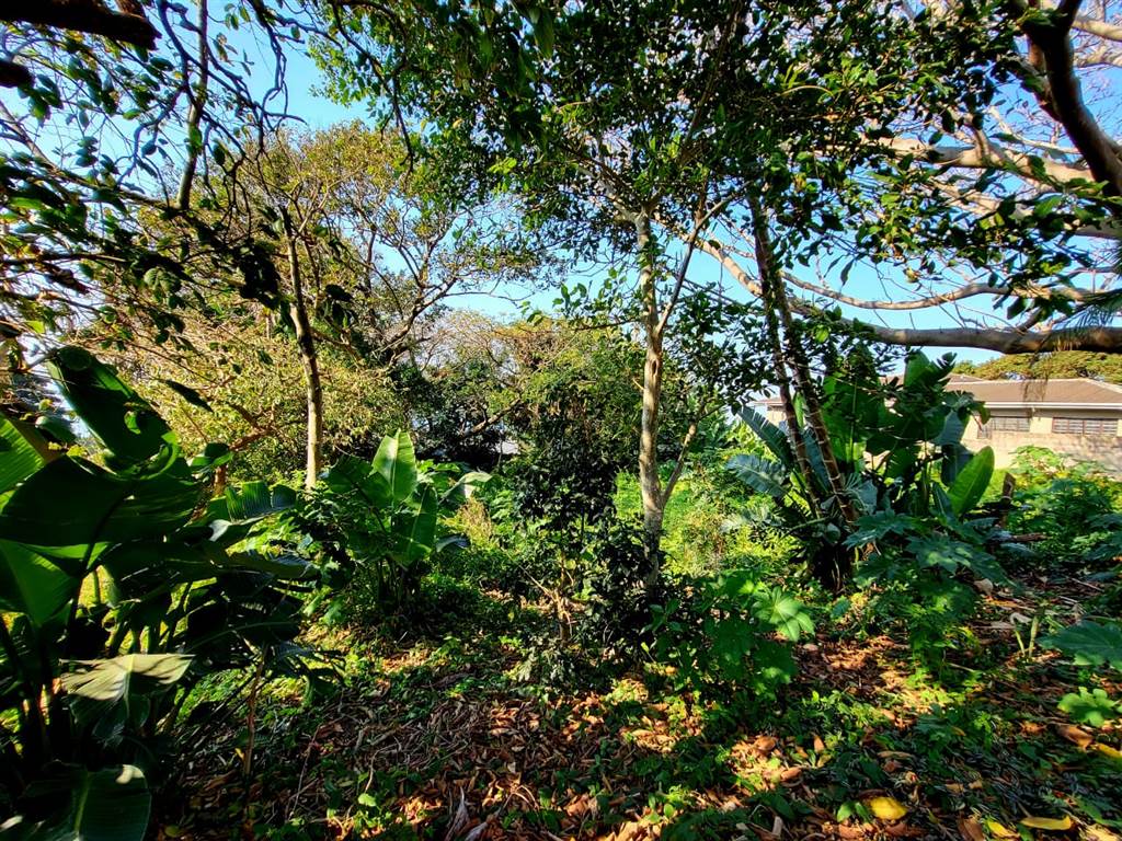 1161 m² Land available in Woodgrange photo number 4