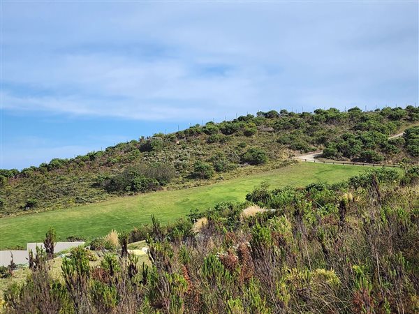 1000 m² Land available in Pezula Golf Estate
