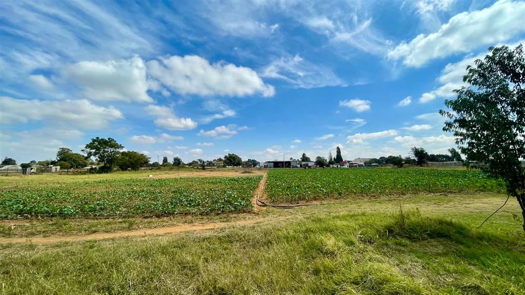1.8 ha Farm in Randfontein photo number 25