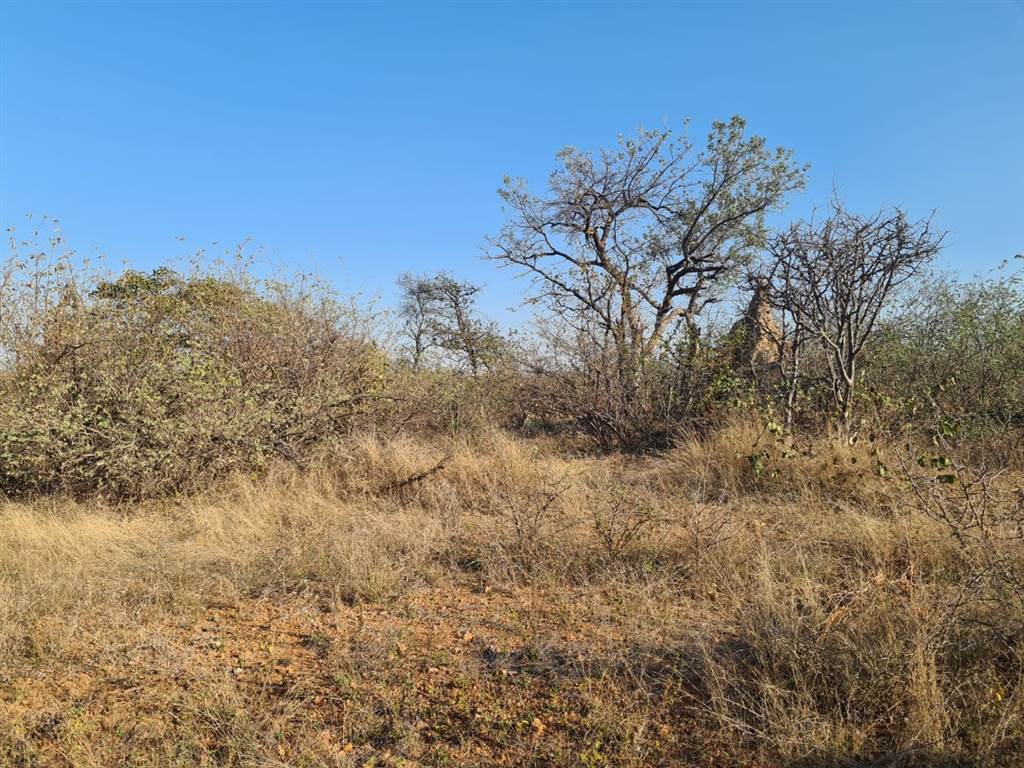 21 ha Land available in Phalaborwa photo number 6