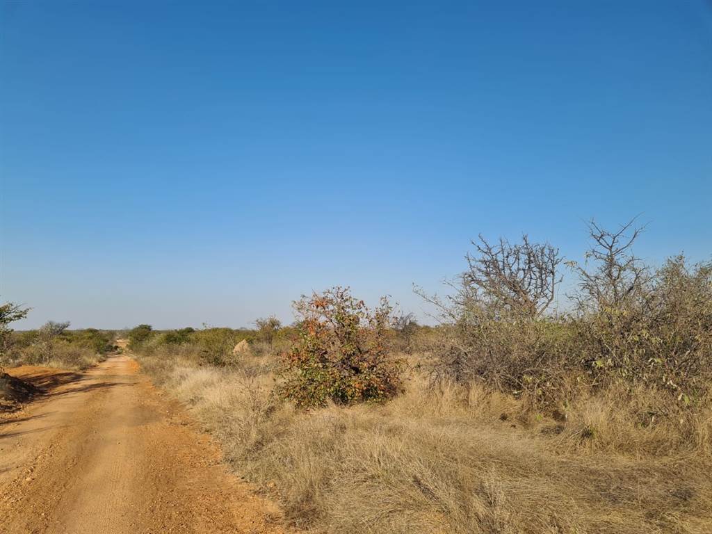 21 ha Land available in Phalaborwa photo number 1