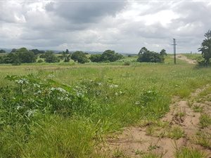 8121 m² Land available in Shakas Head