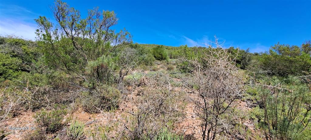 697 m² Land available in Robertson photo number 1