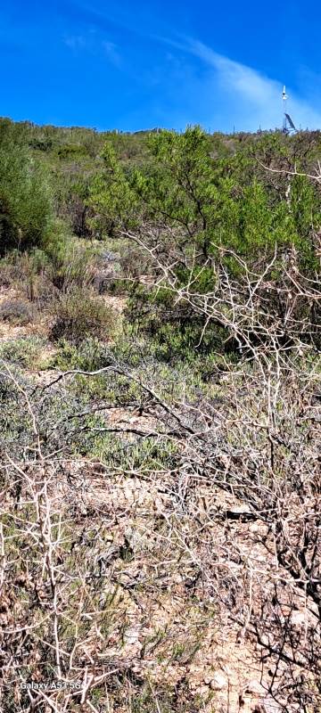 697 m² Land available in Robertson photo number 6
