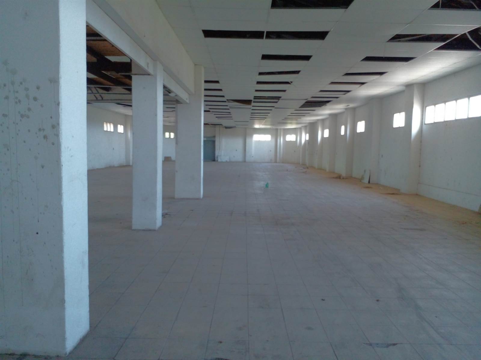 2700  m² Retail Space in Wyebank photo number 4