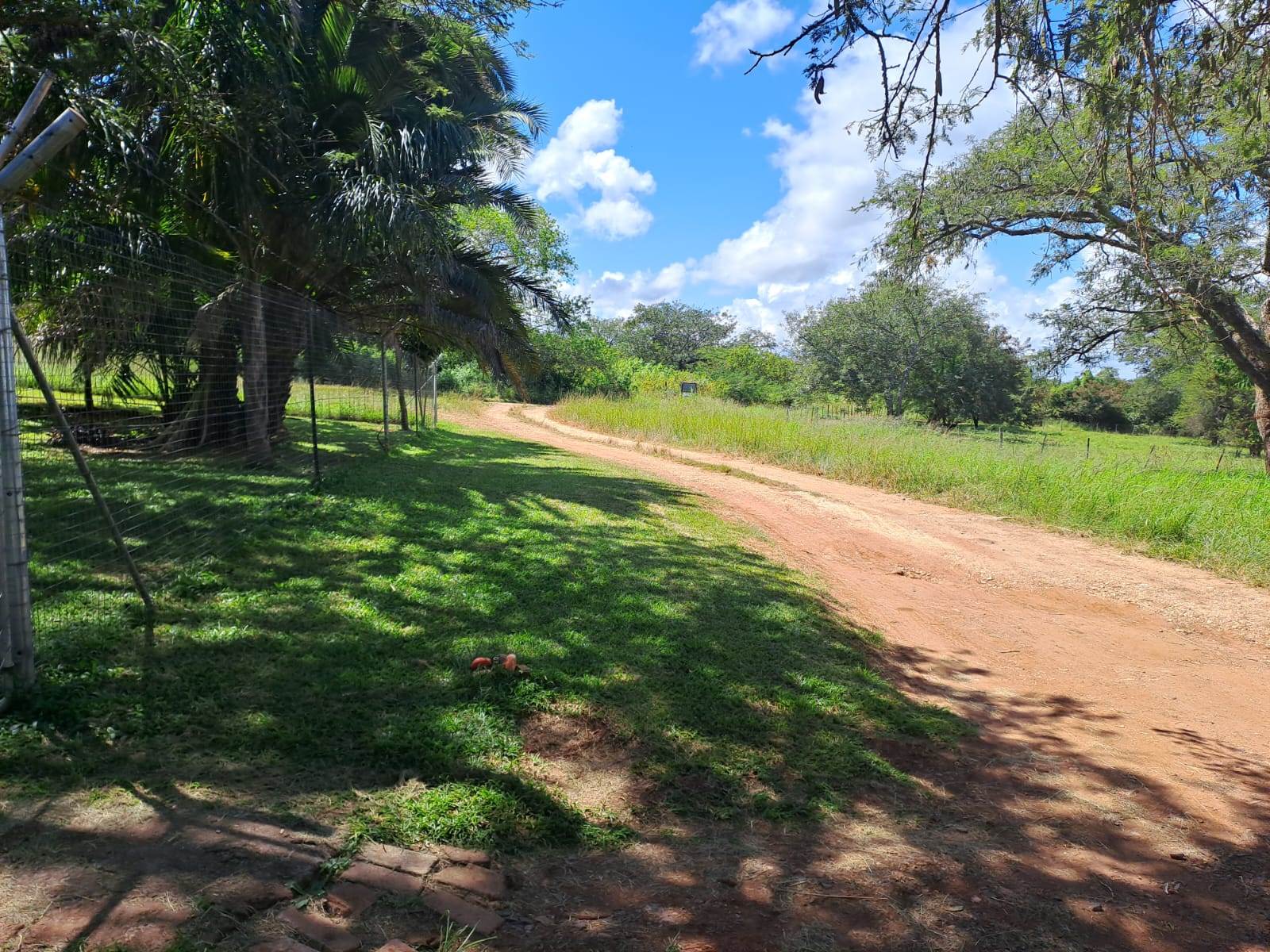 21 ha Land available in Louis Trichardt photo number 13