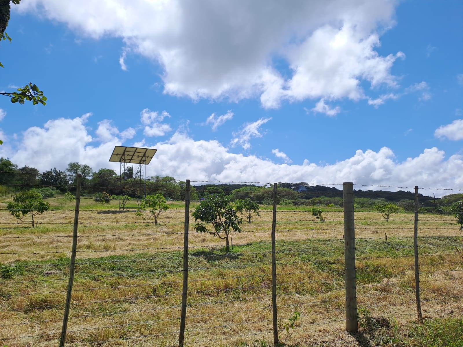 21 ha Land available in Louis Trichardt photo number 23