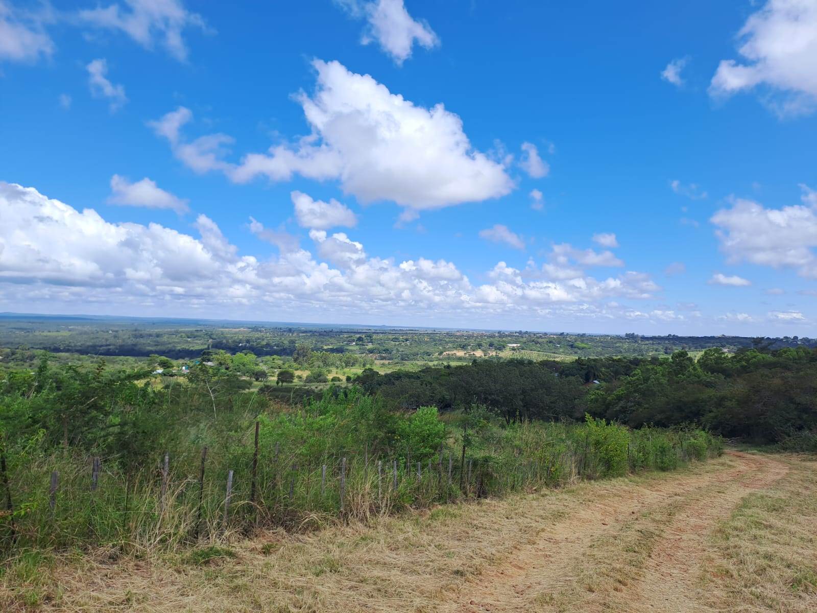 21 ha Land available in Louis Trichardt photo number 3