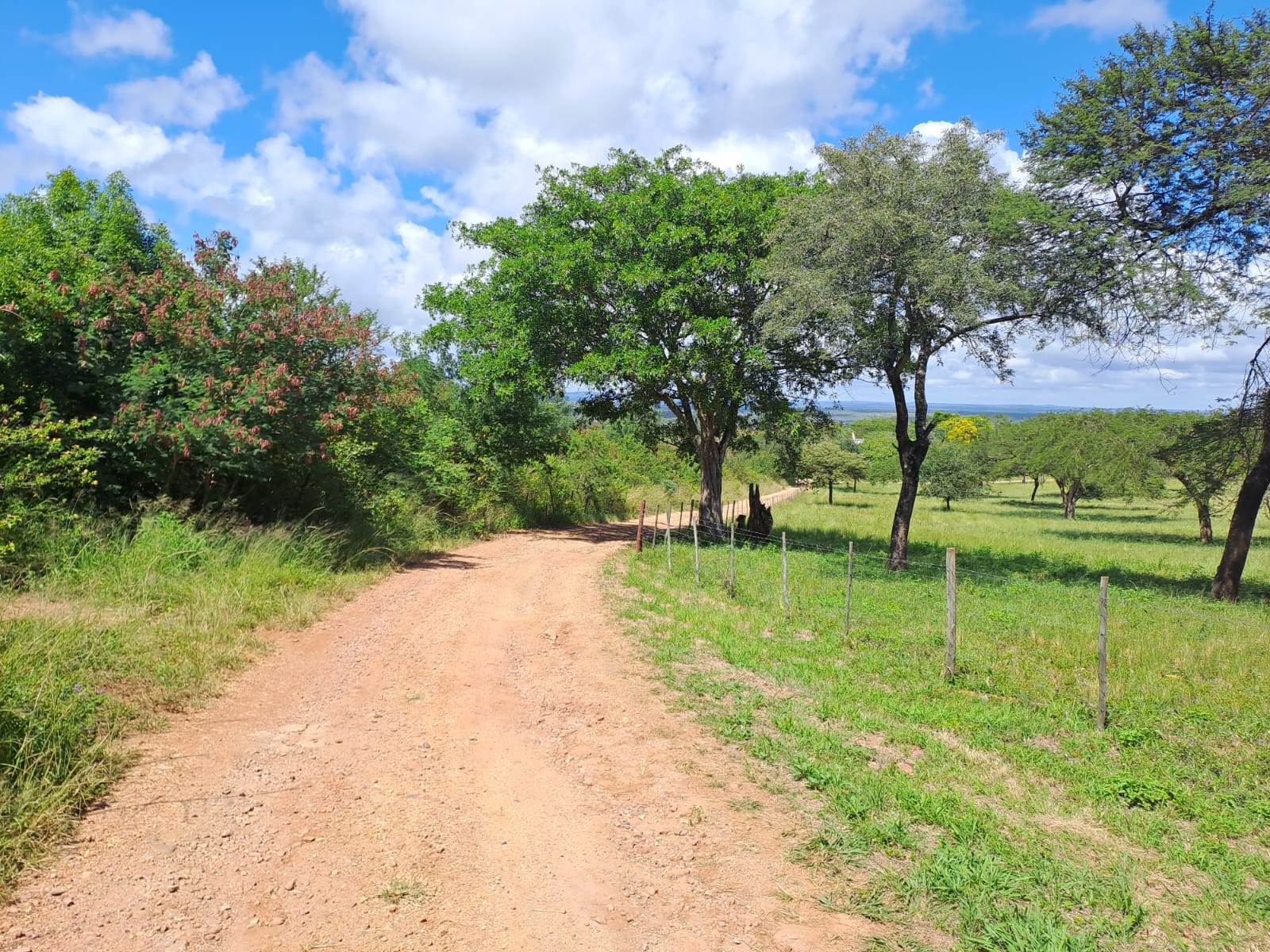 21 ha Land available in Louis Trichardt photo number 2