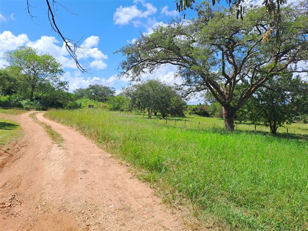 21 ha Land available in Louis Trichardt