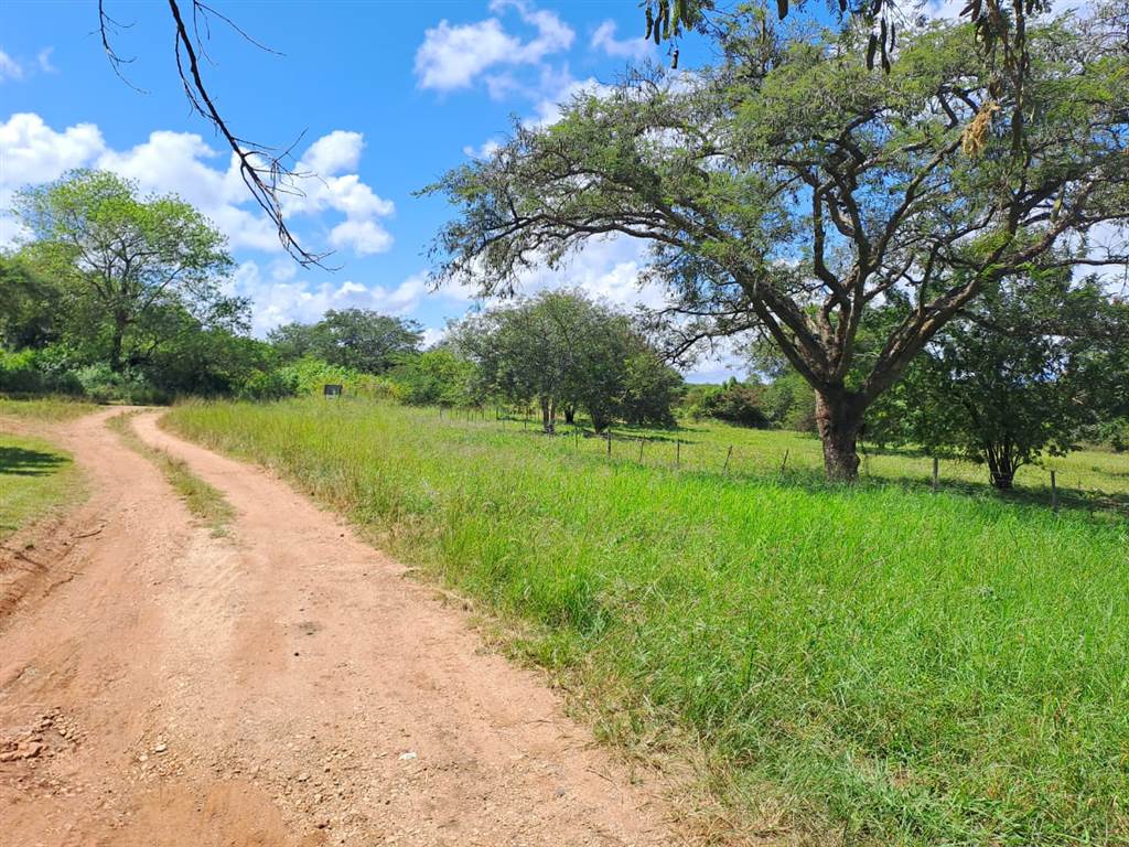 21 ha Land available in Louis Trichardt photo number 1