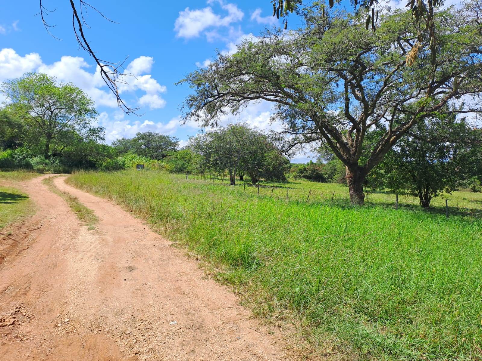 21 ha Land available in Louis Trichardt photo number 14