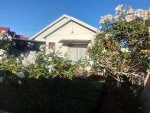 3 Bed House in Dobsonville