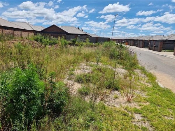251 m² Land 251 m² Land