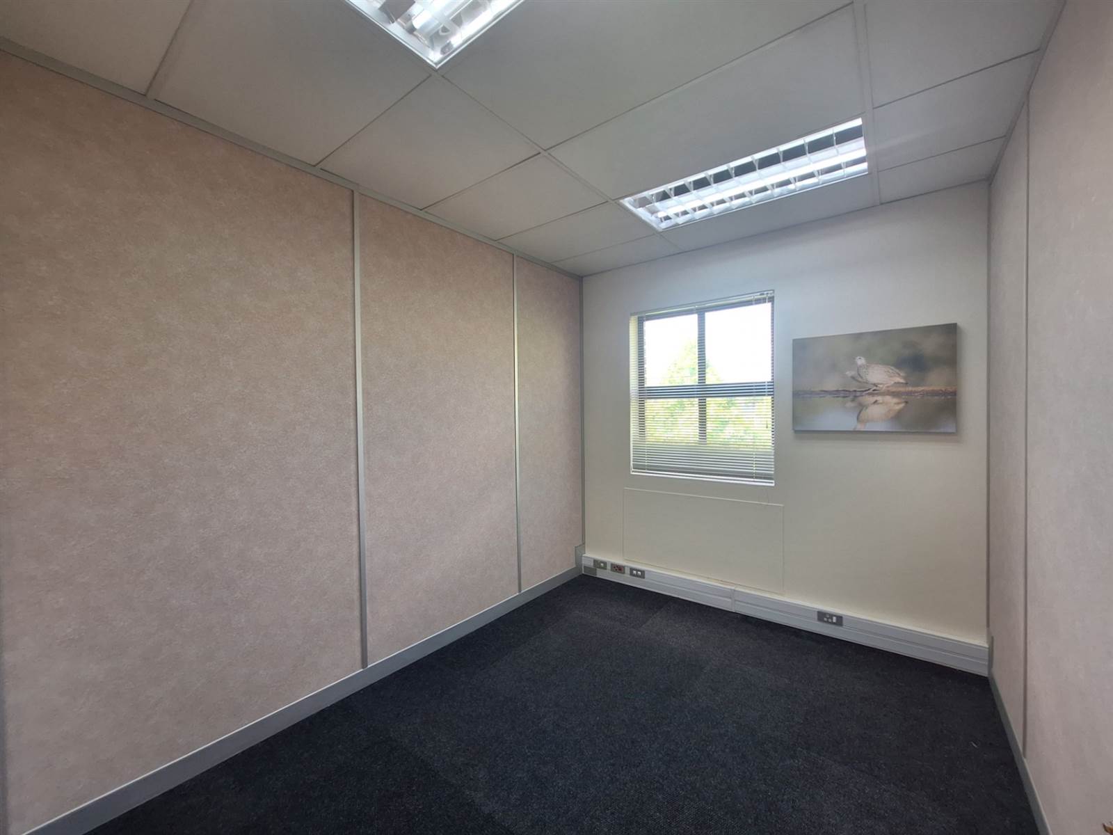 300  m² Office Space in Highveld Techno Park photo number 25