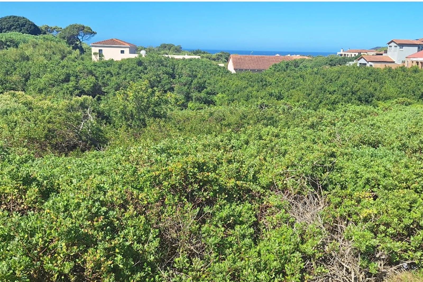 687 m² Land available in St Francis On Sea photo number 5