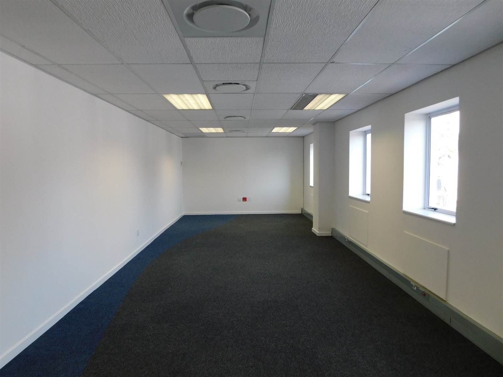 740  m² Commercial space in Rosebank photo number 14