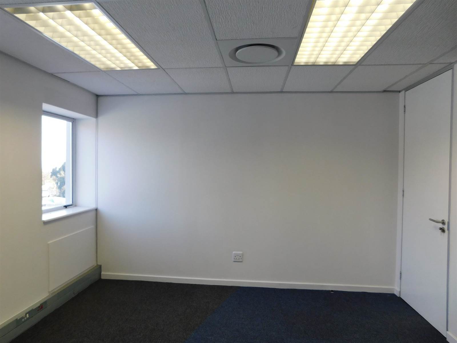 740  m² Commercial space in Rosebank photo number 10