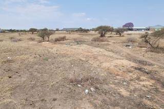 154 ha Land available in Laboria photo number 5