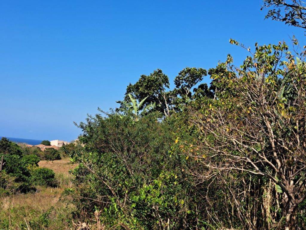 1879 m² Land available in Port Edward photo number 6