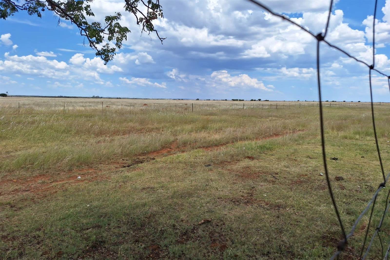 44 ha Land available in Bloemhof photo number 9