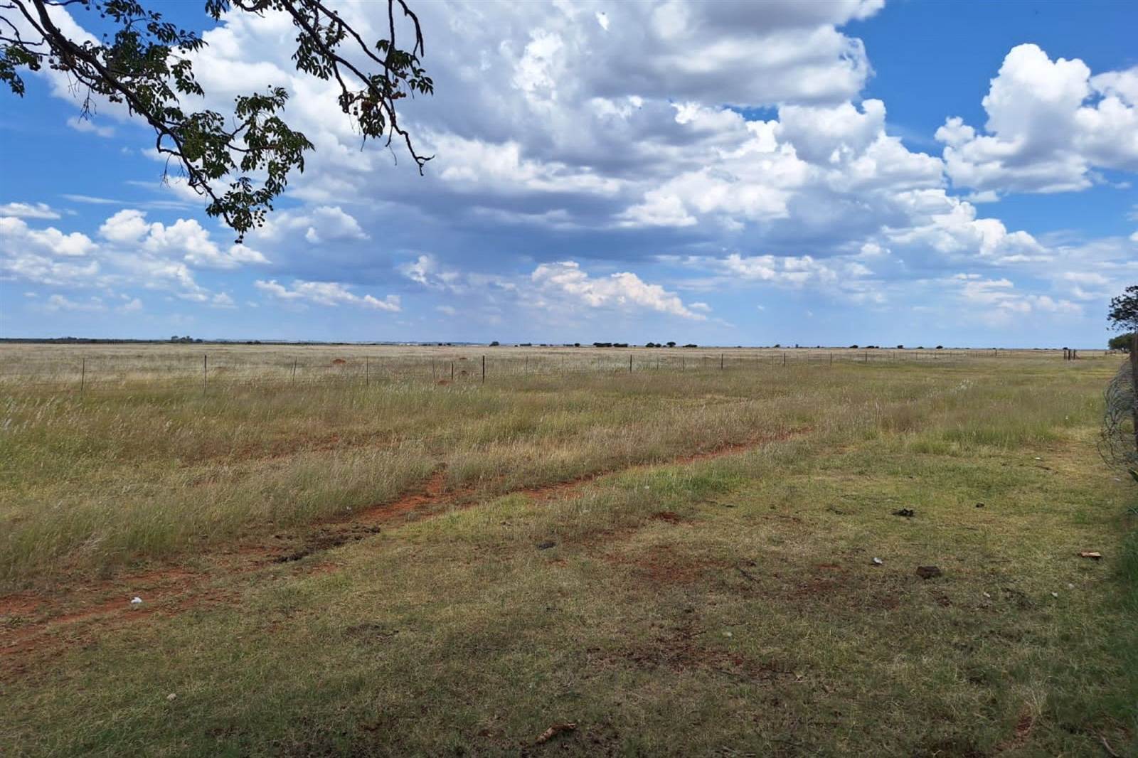 44 ha Land available in Bloemhof photo number 7