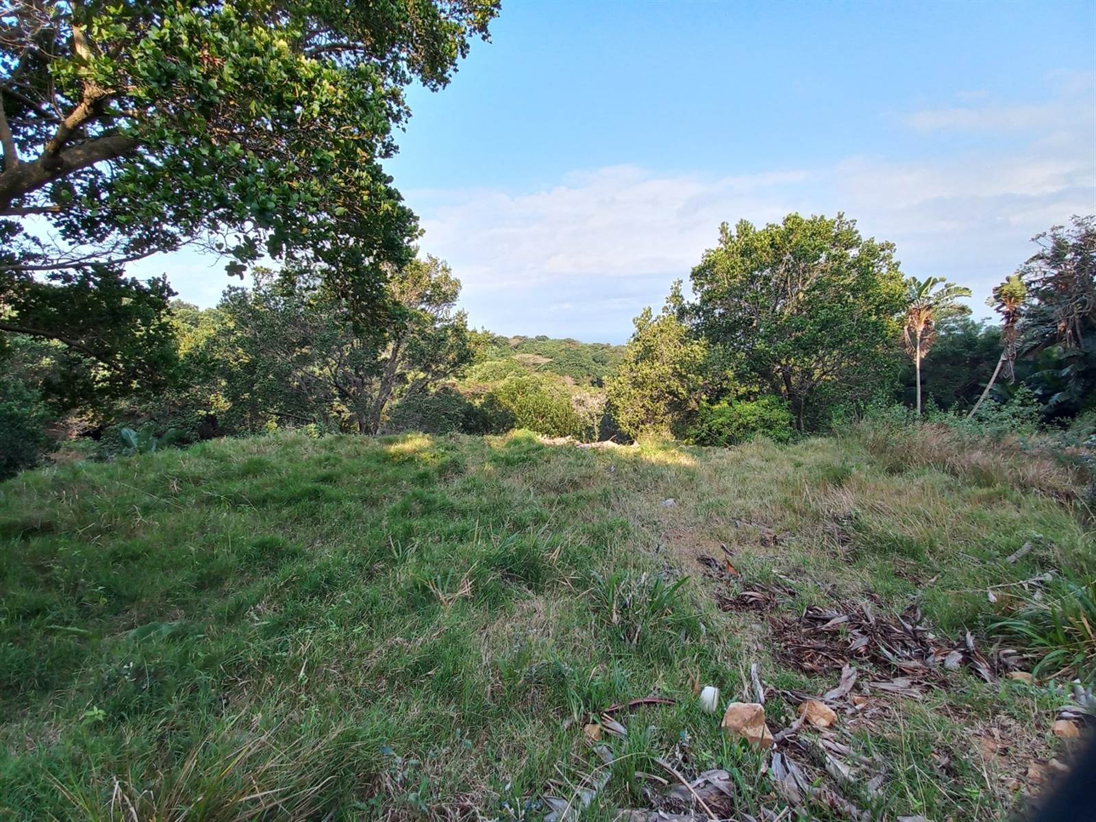 884 m² Land available in Woodgrange photo number 4