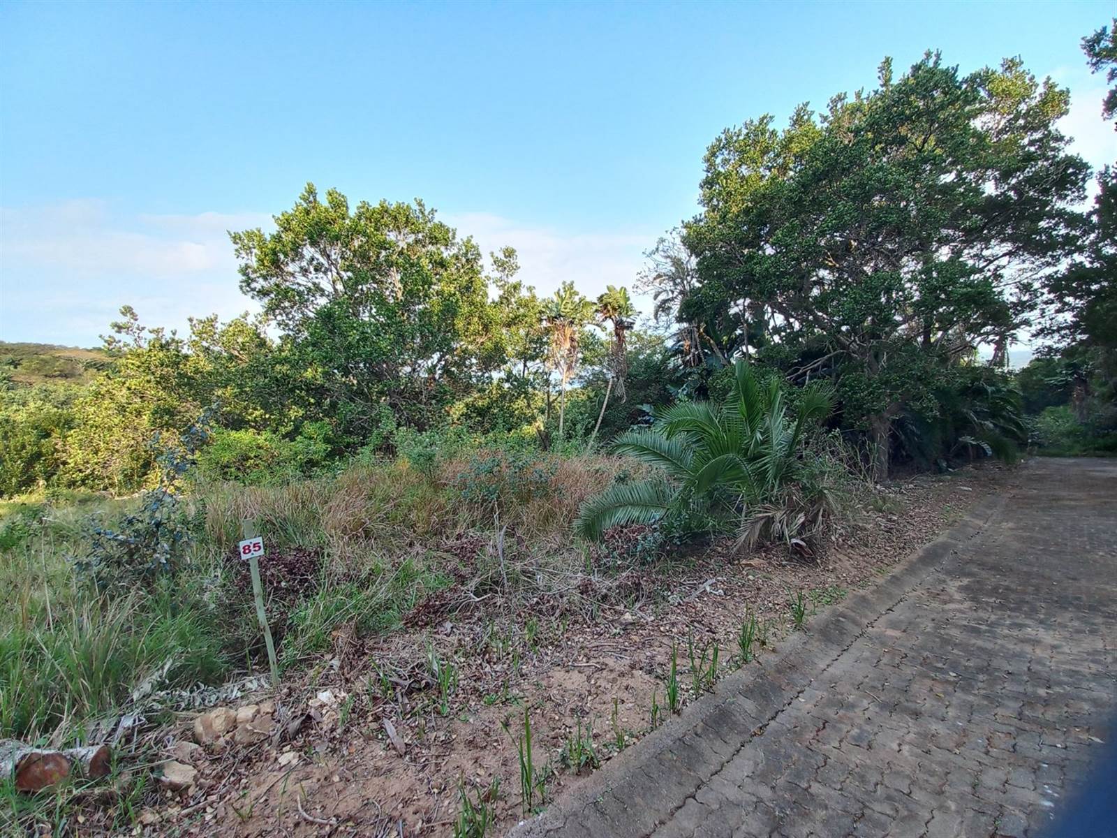 884 m² Land available in Woodgrange photo number 3