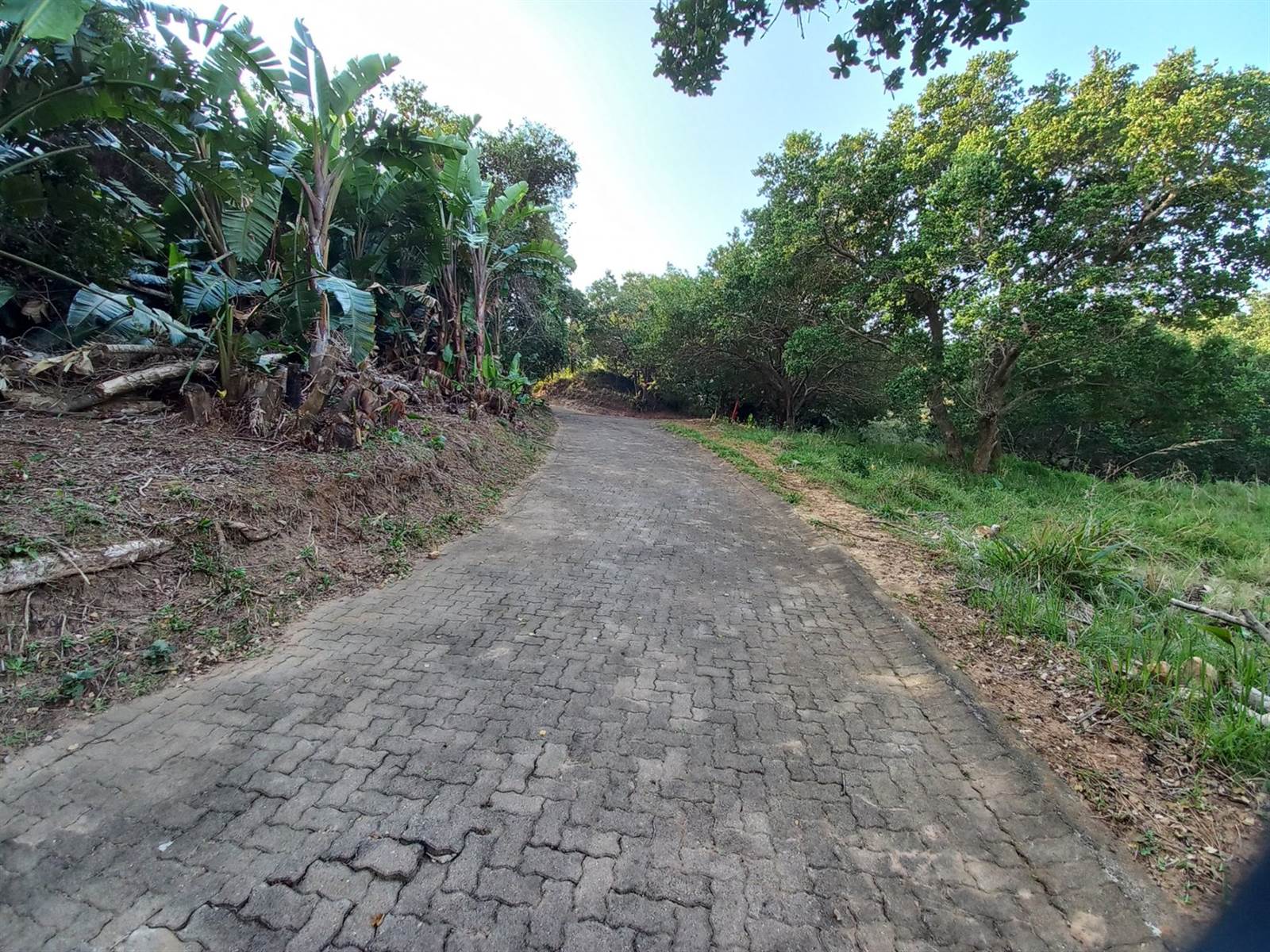 884 m² Land available in Woodgrange photo number 8