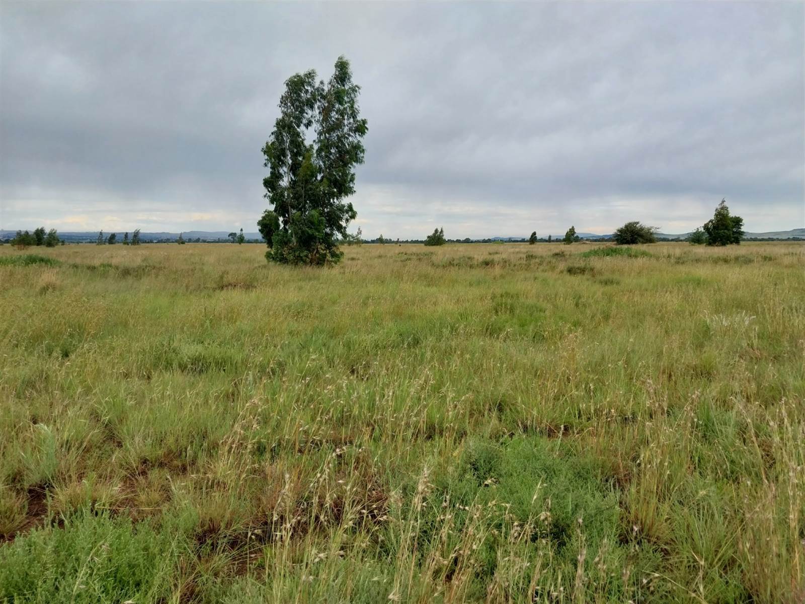 10 ha Land available in Westonaria photo number 1