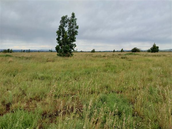 10 ha Land available in Westonaria