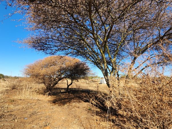 600 m² Land 600 m² Land