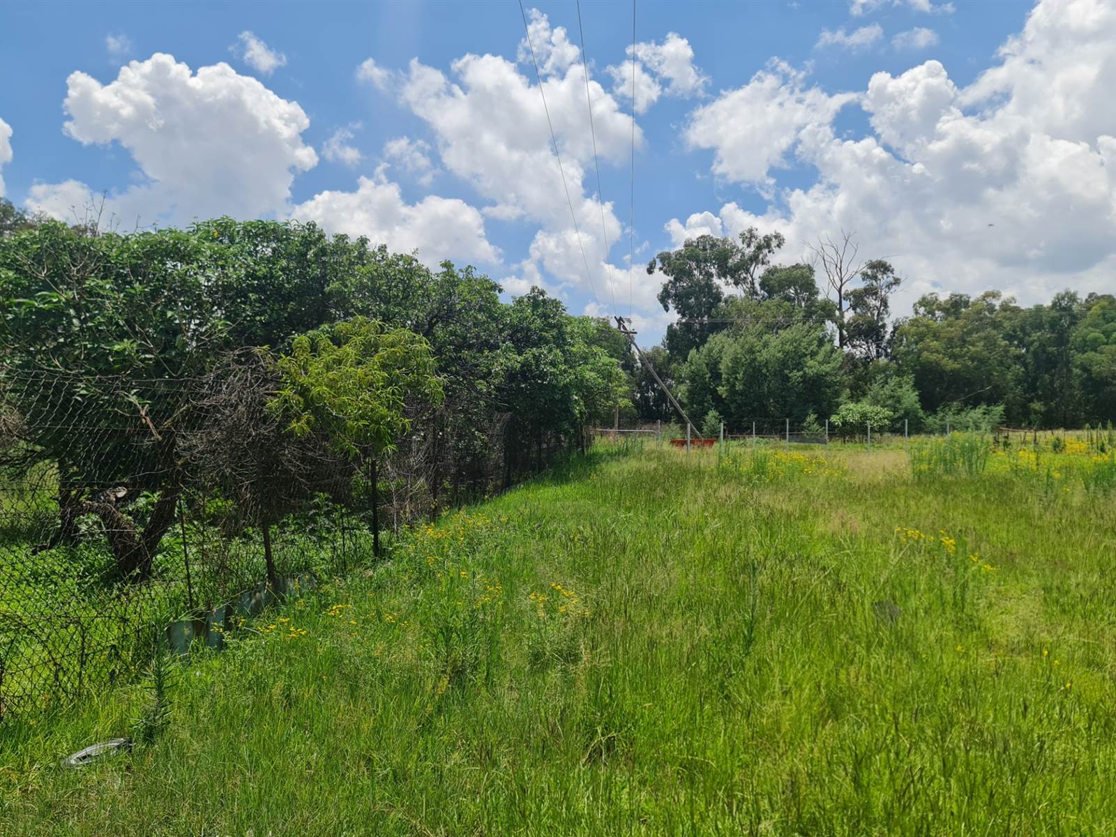 1.7 ha Land available in Randfontein photo number 6