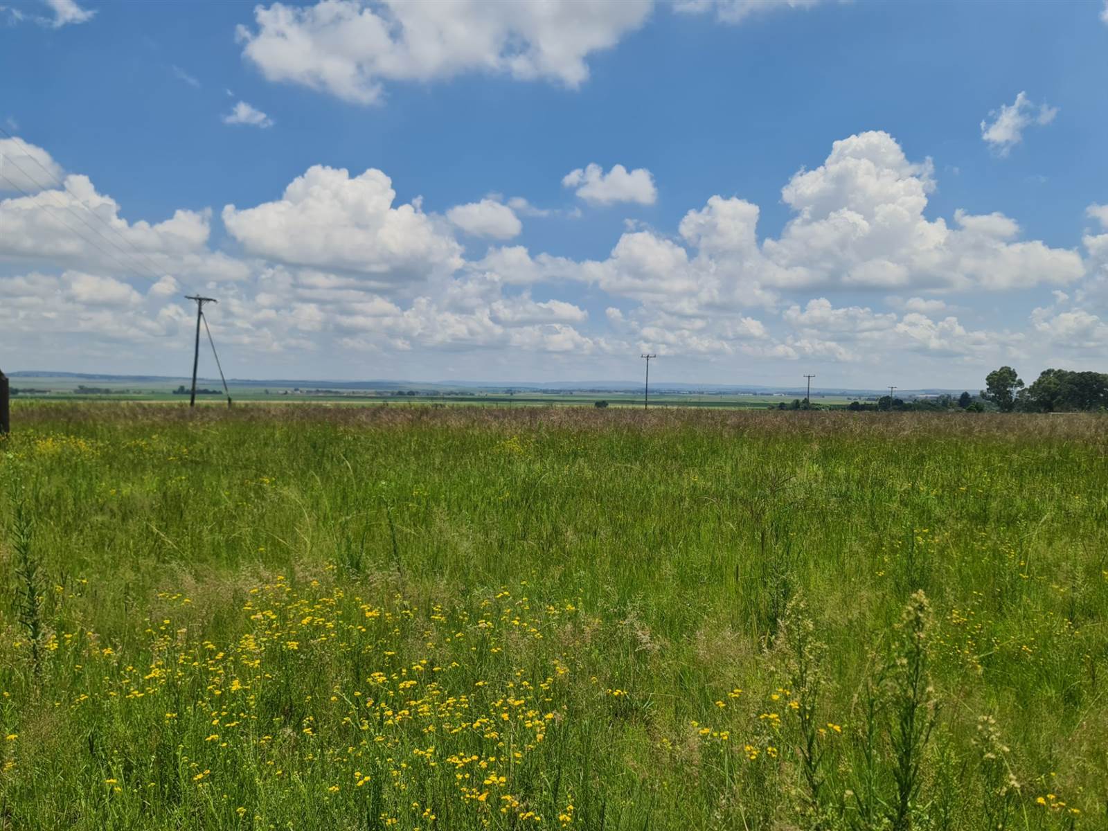 1.7 ha Land available in Randfontein photo number 5