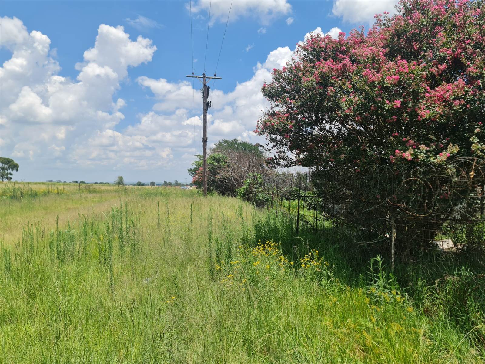 1.7 ha Land available in Randfontein photo number 7