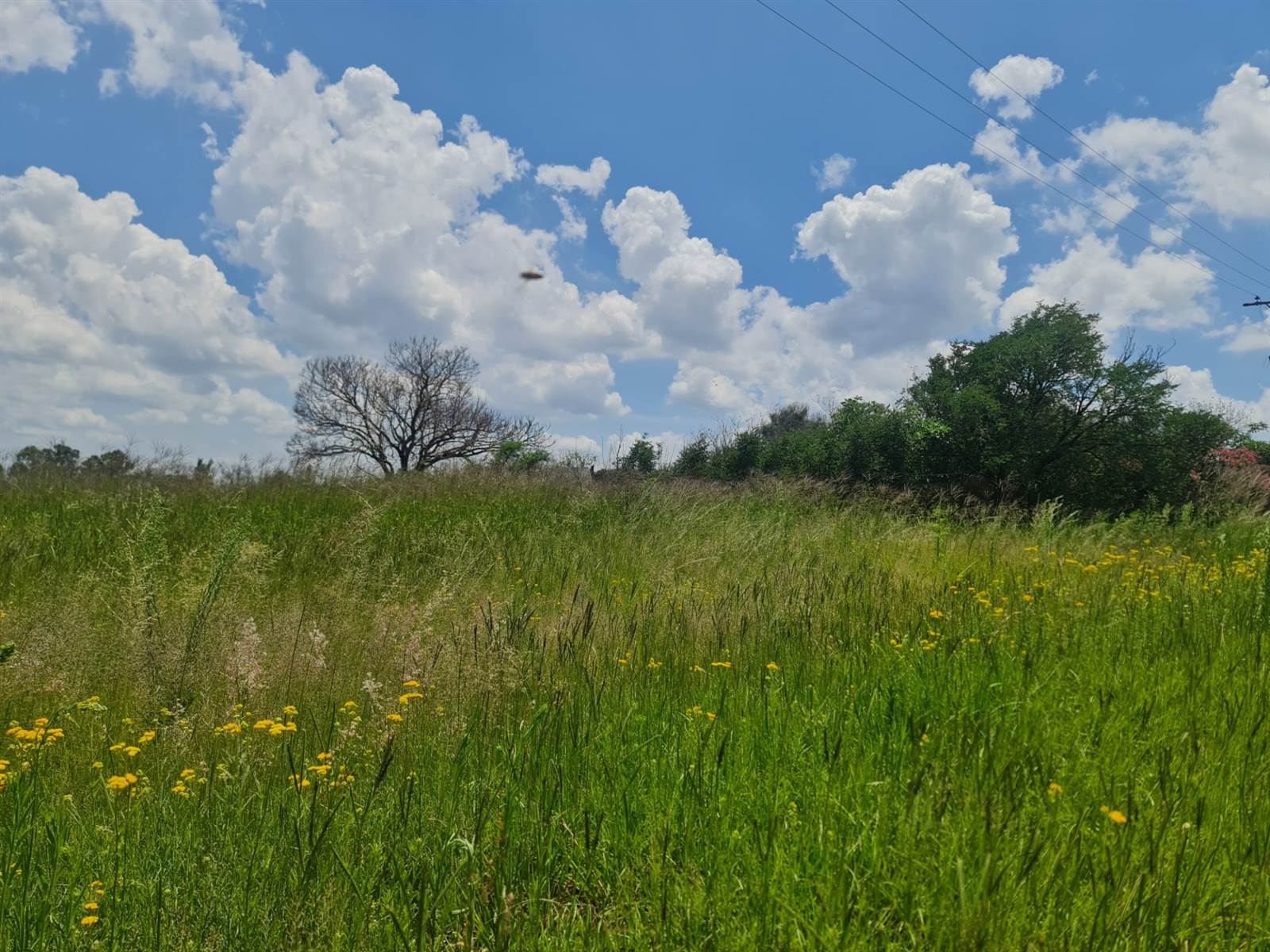 1.7 ha Land available in Randfontein photo number 4