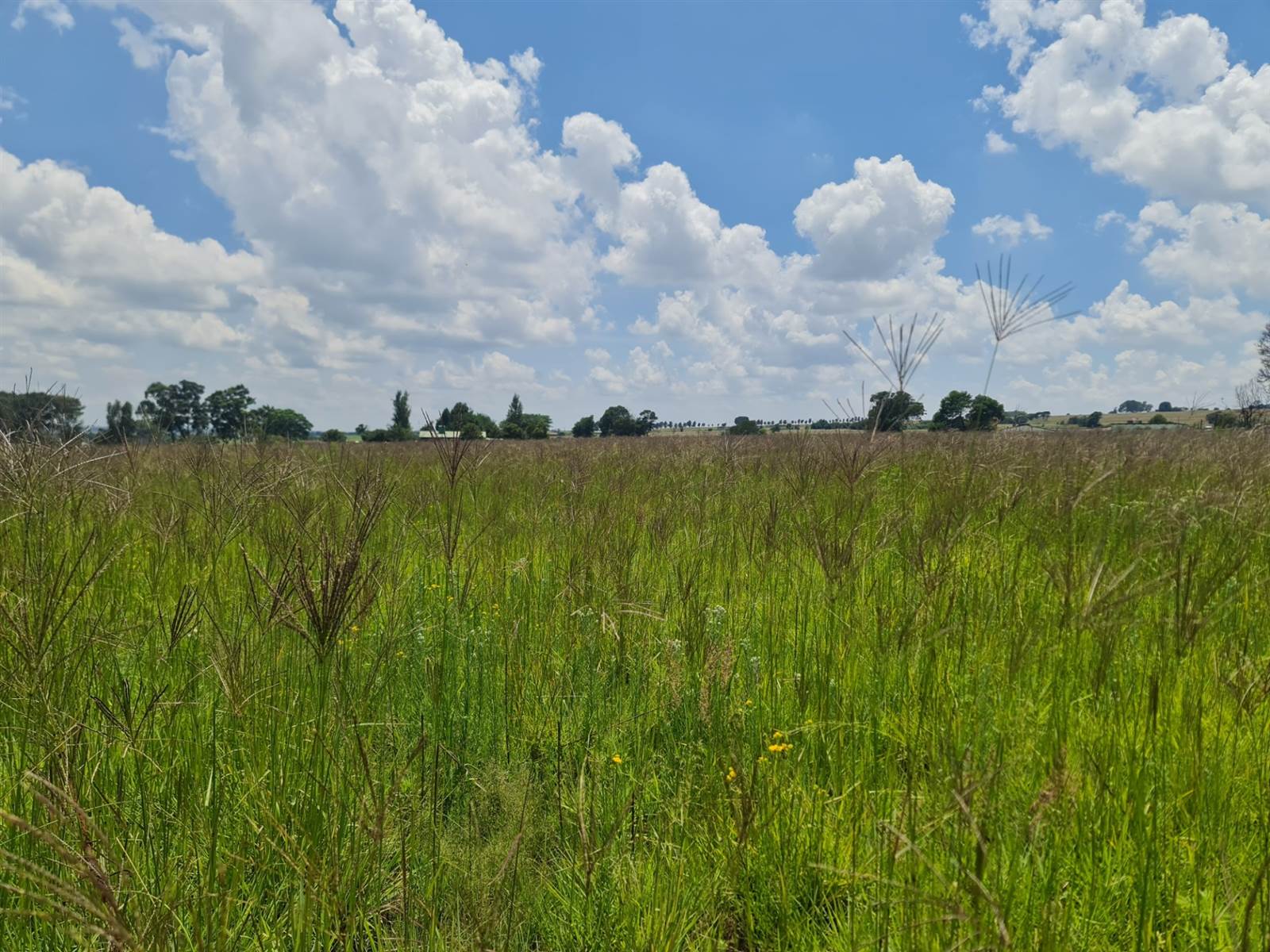 1.7 ha Land available in Randfontein photo number 1