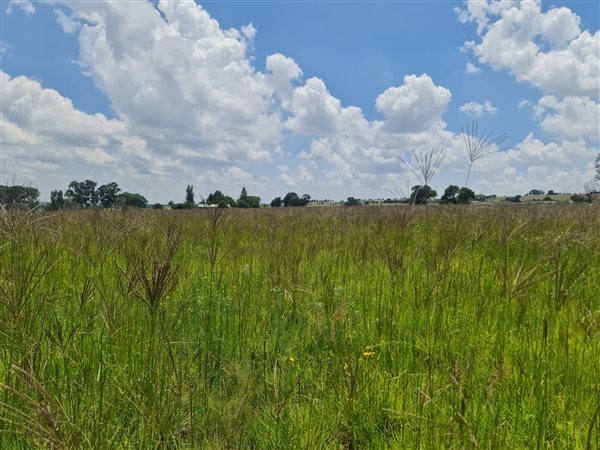 1.7 ha Land available in Randfontein