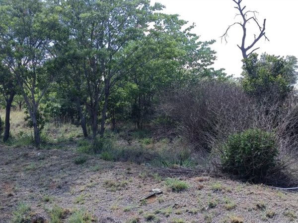 24 m² Land available in Kameelfontein and surrounds